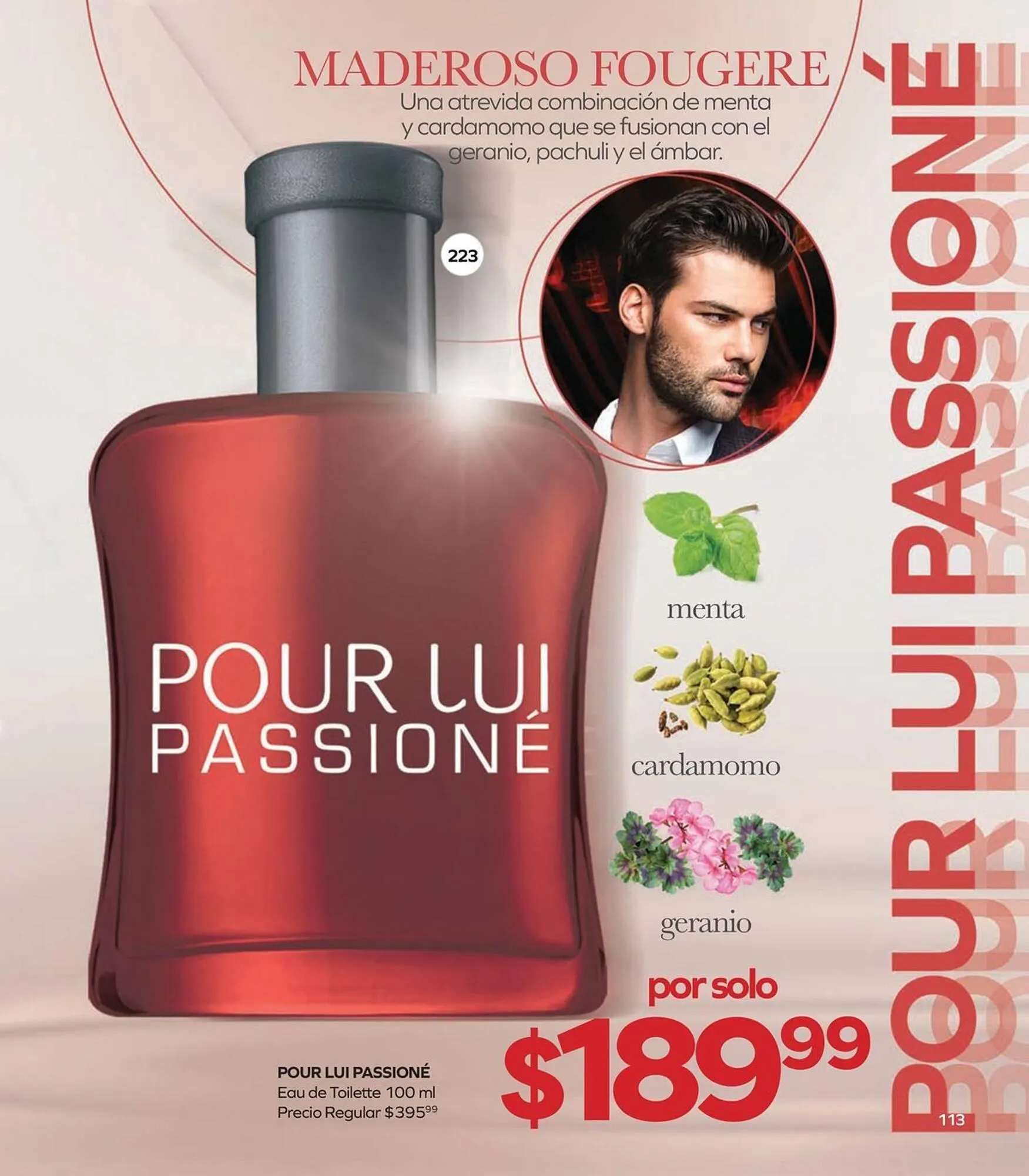 Catálogo de Catálogo Stanhome 9 de febrero al 27 de febrero 2026 - Pagina 119