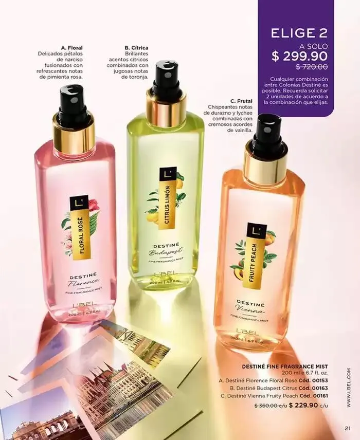 Catálogo de Catálogo L'Bel México C03 7 de enero al 6 de febrero 2025 - Pagina 13