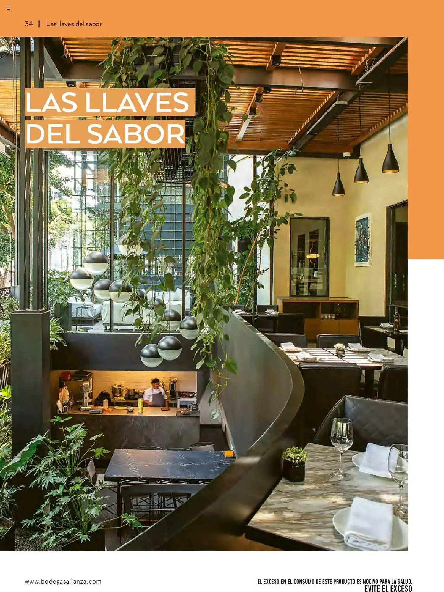 Catálogo de Catálogo Bodegas Alianza 1 de julio al 1 de octubre 2025 - Pagina 36