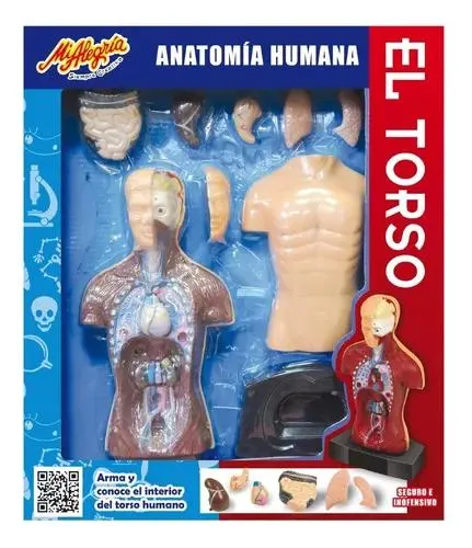 El Torso Humano - Mi Alegría