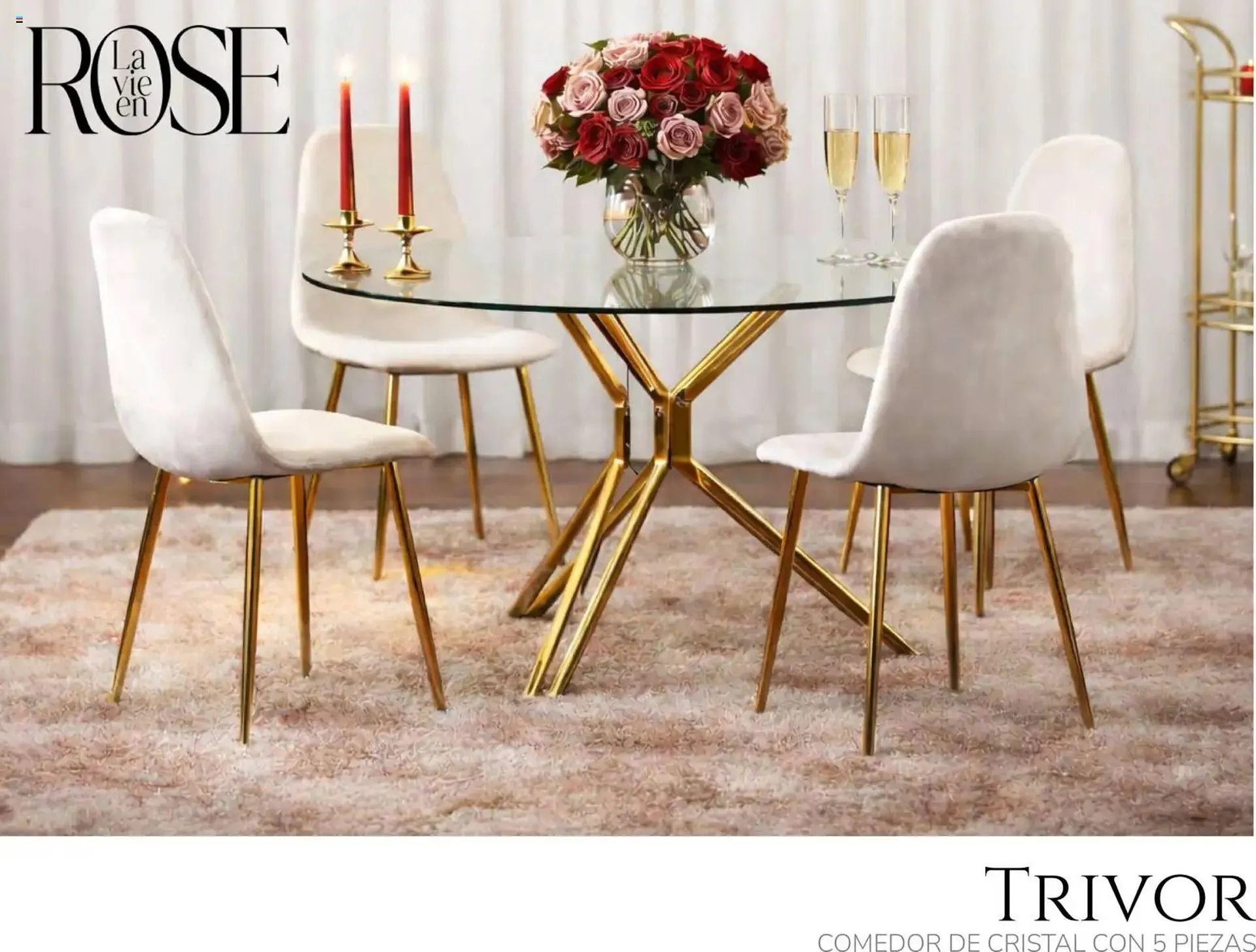 Catálogo de Catálogo Muebles Dico 6 de febrero al 1 de enero 2027 - Pagina 10