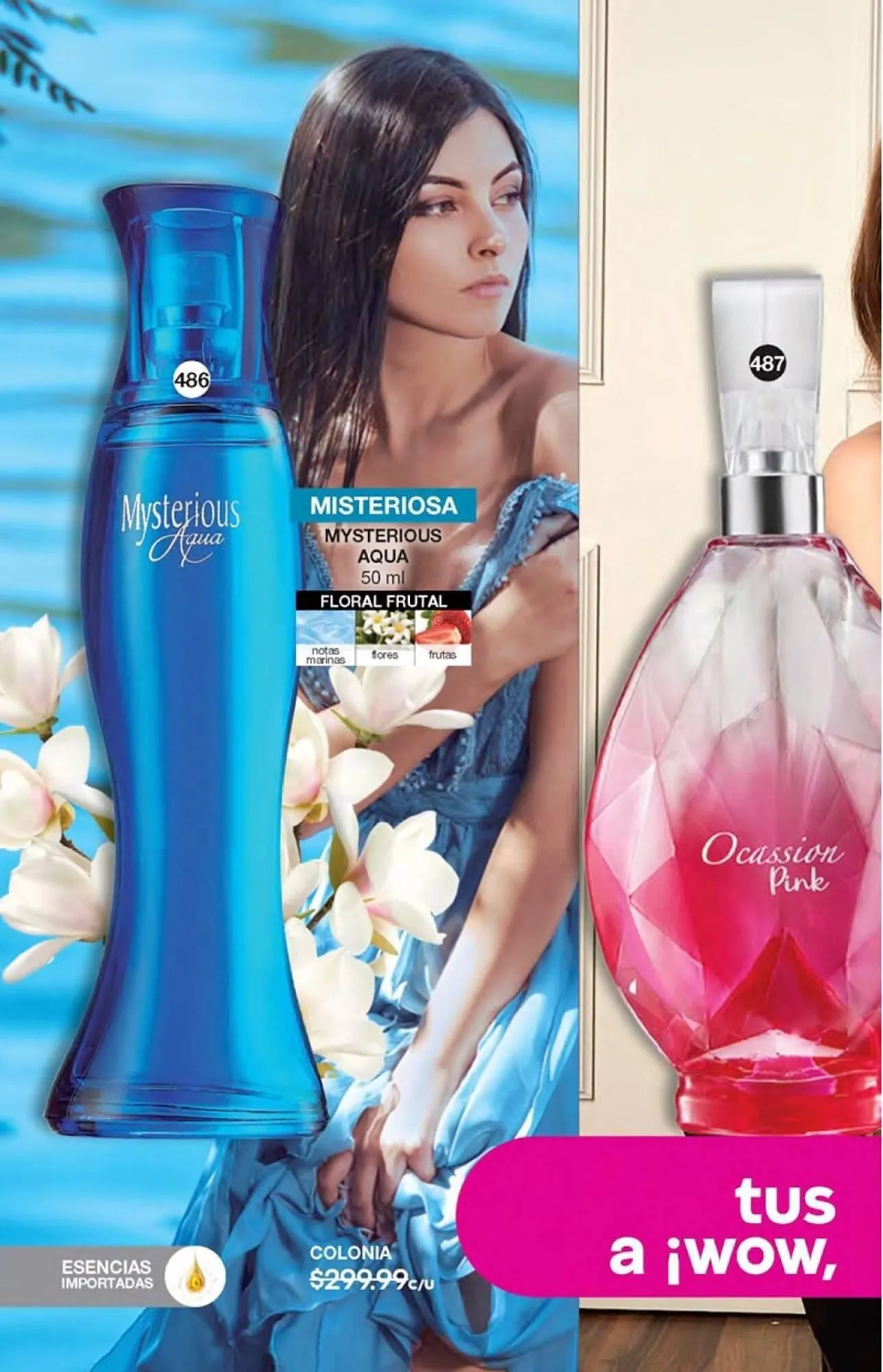 Catálogo de Catálogo Fuller 21 de agosto al 31 de octubre 2025 - Pagina 172