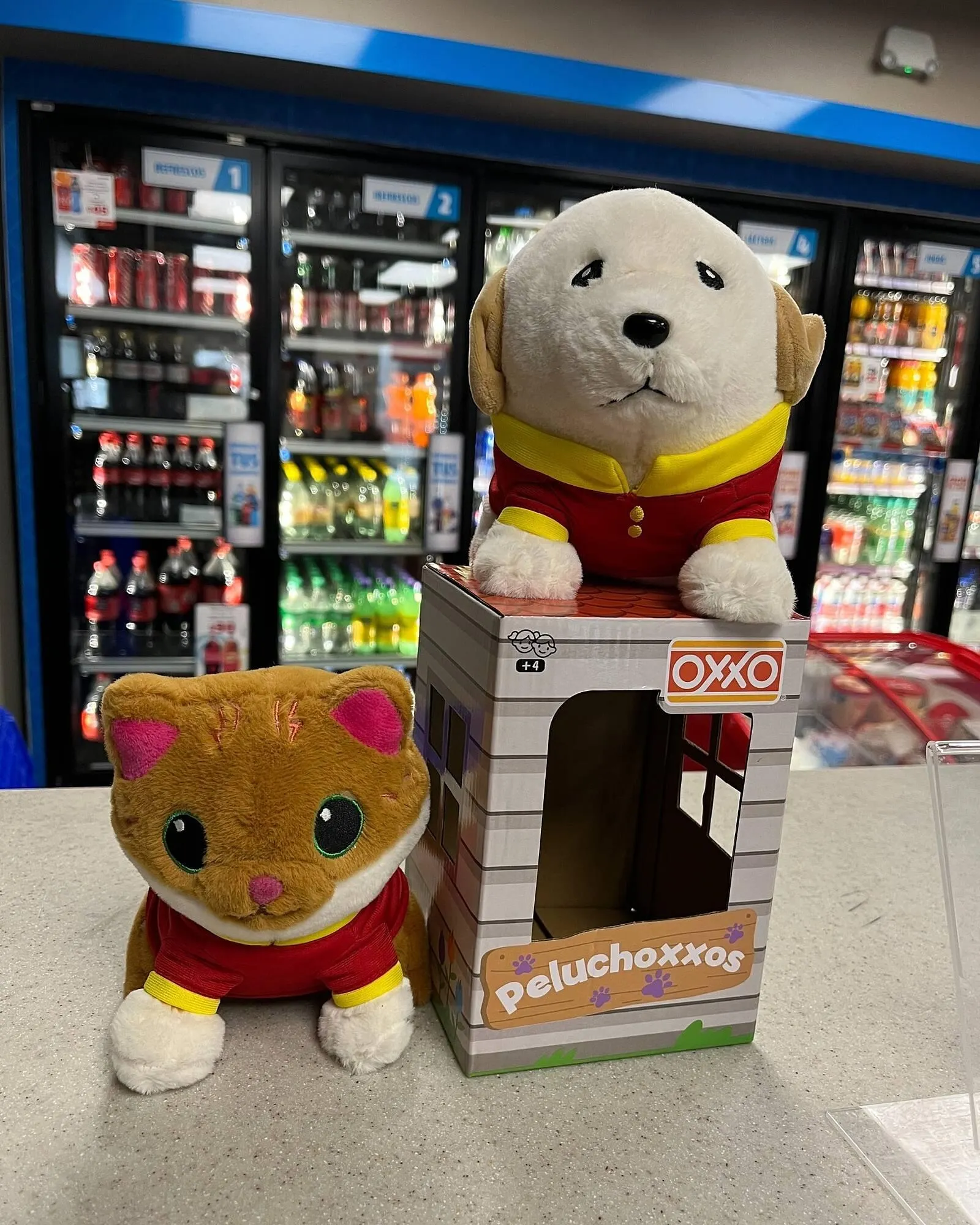 Catálogo de Catálogo OXXO 8 de julio al 8 de julio 2025 - Pagina 2