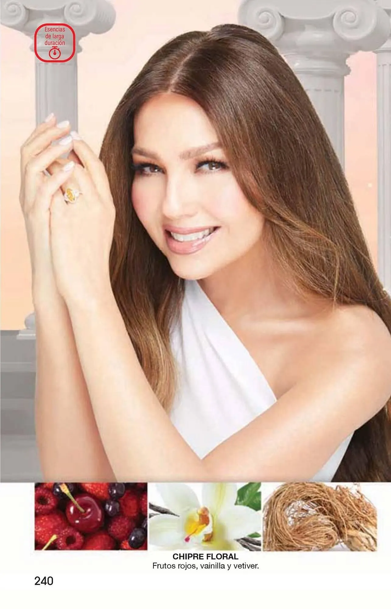 Catálogo de Catálogo Arabela 15 de enero al 5 de febrero 2026 - Pagina 208