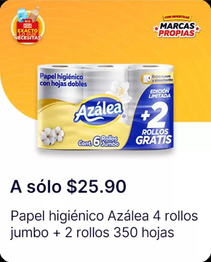 Catálogo de Exacto lo que necesitas 7 de enero al 22 de enero 2025 - Pagina 105