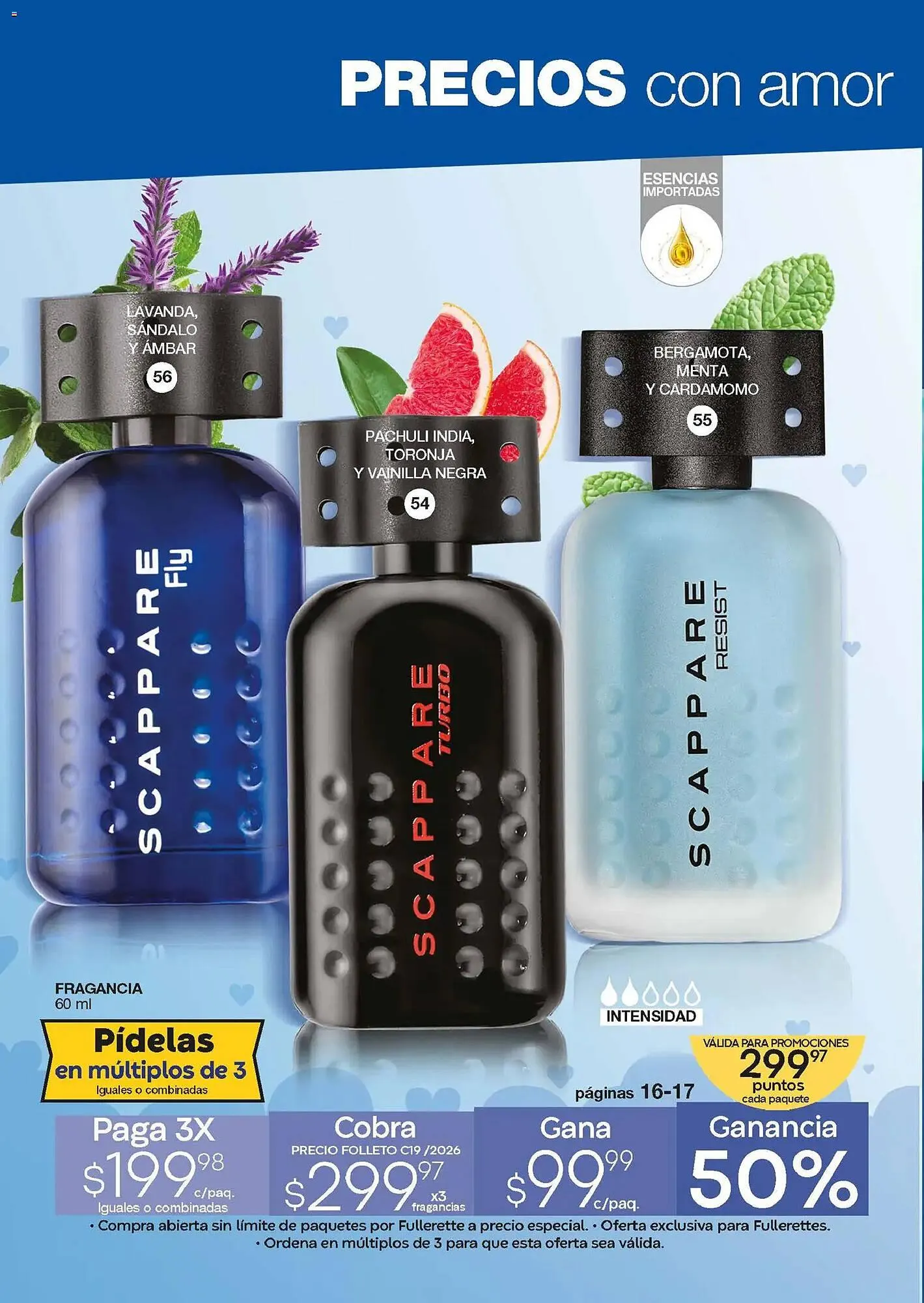 Catálogo de Catálogo Fuller 24 de diciembre al 13 de enero 2026 - Pagina 14