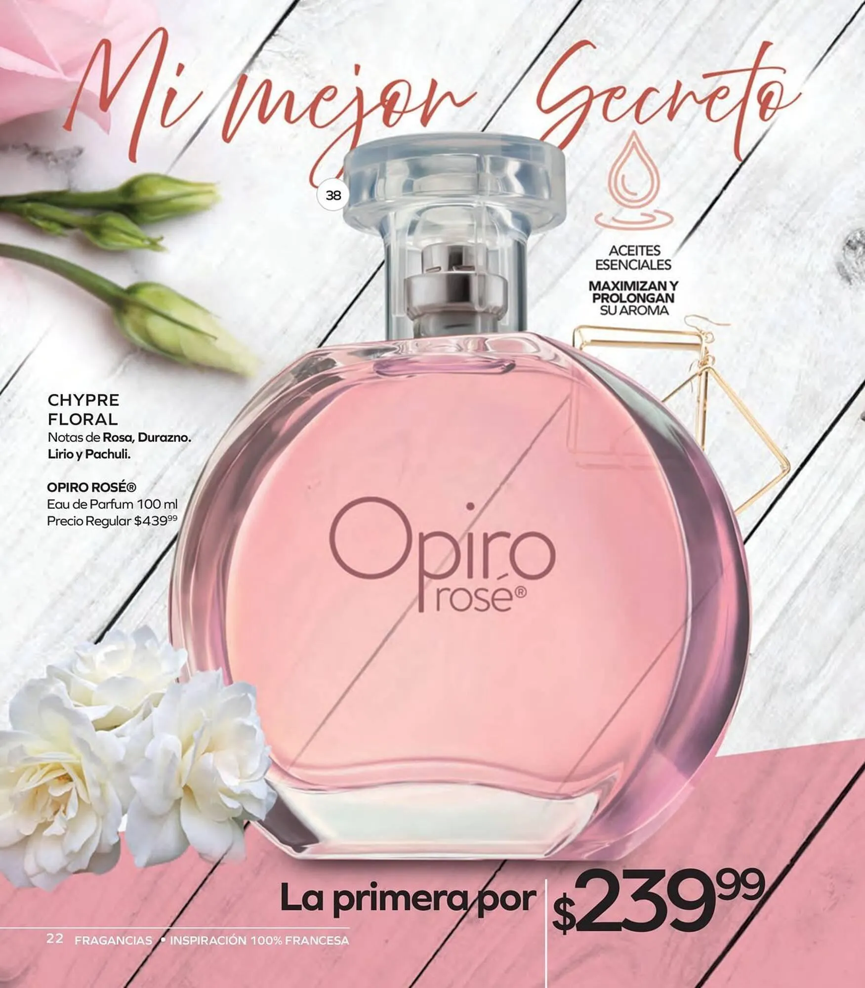 Catálogo de Catálogo Stanhome 13 de octubre al 31 de octubre 2025 - Pagina 24