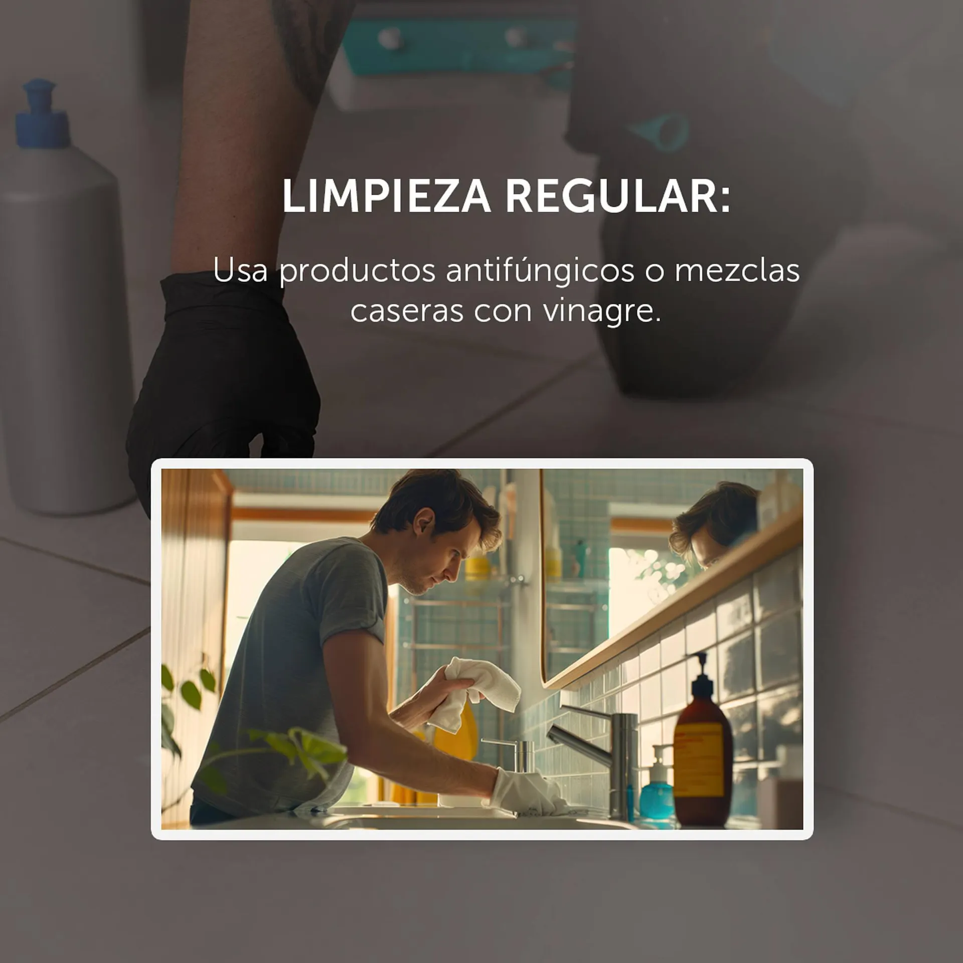 Catálogo de Catálogo Llano de la Torre 24 de junio al 25 de junio 2025 - Pagina 4