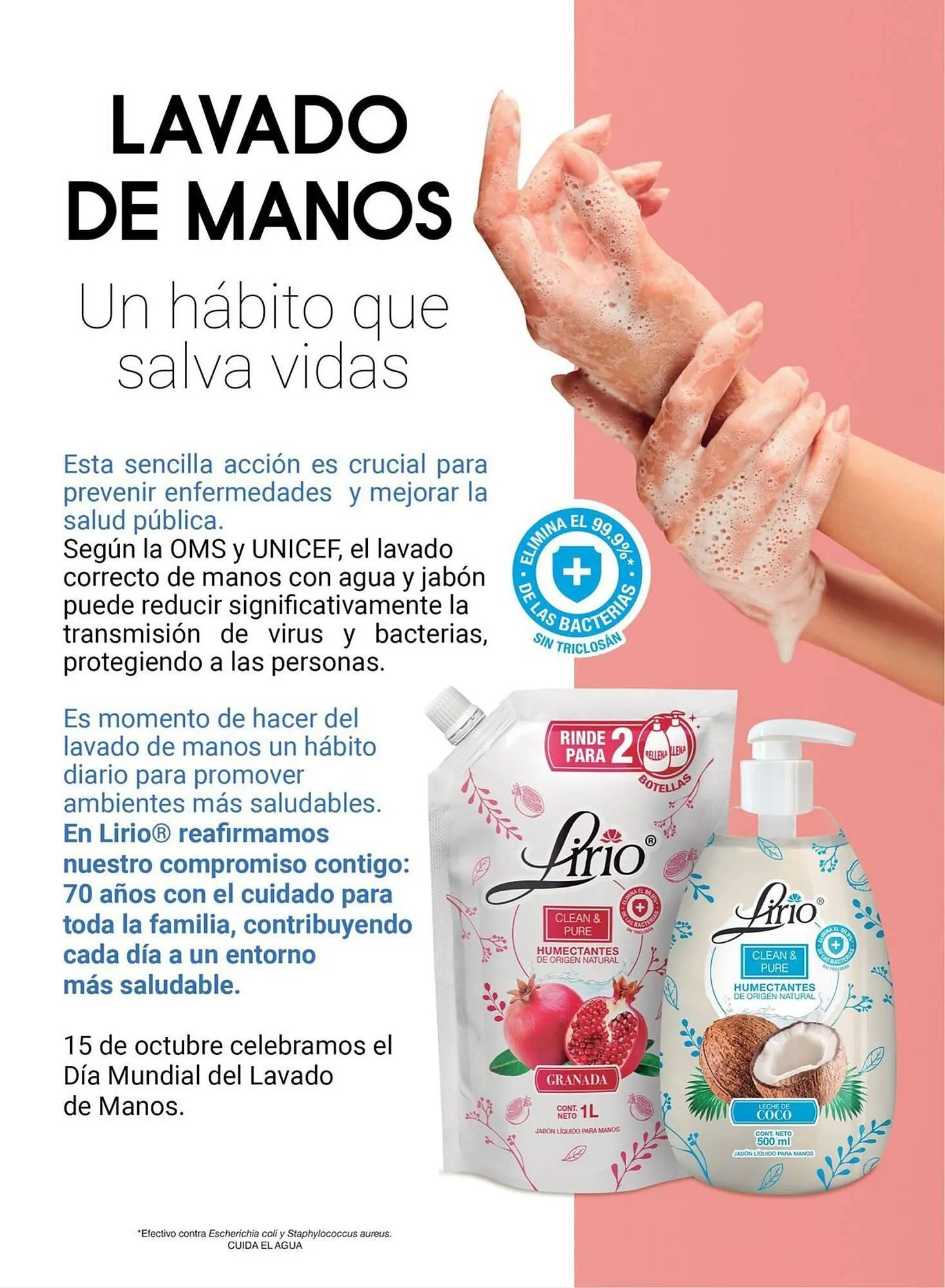 Catálogo de Folleto Chedraui 5 de noviembre al 31 de diciembre 2025 - Pagina 53