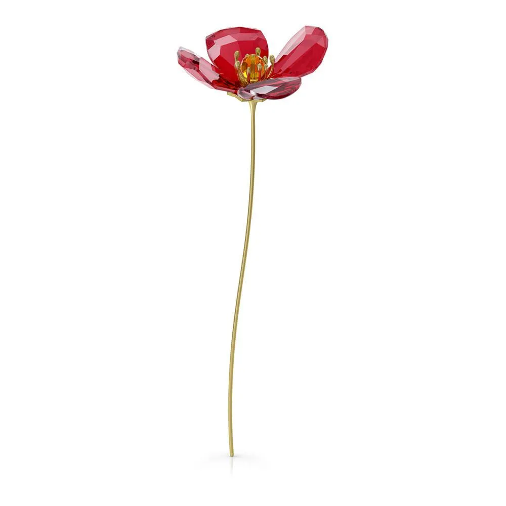 Garden Tales Amapola