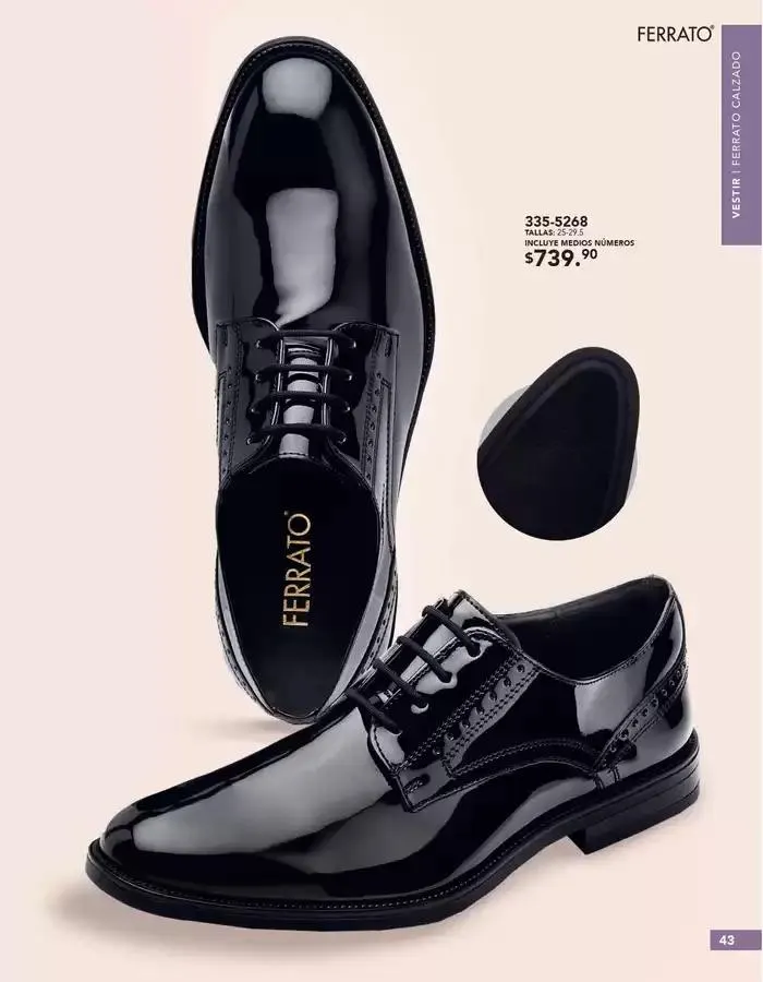 Catálogo de Gangas y ofertas actuales 1 de marzo al 31 de marzo 2025 - Pagina 43