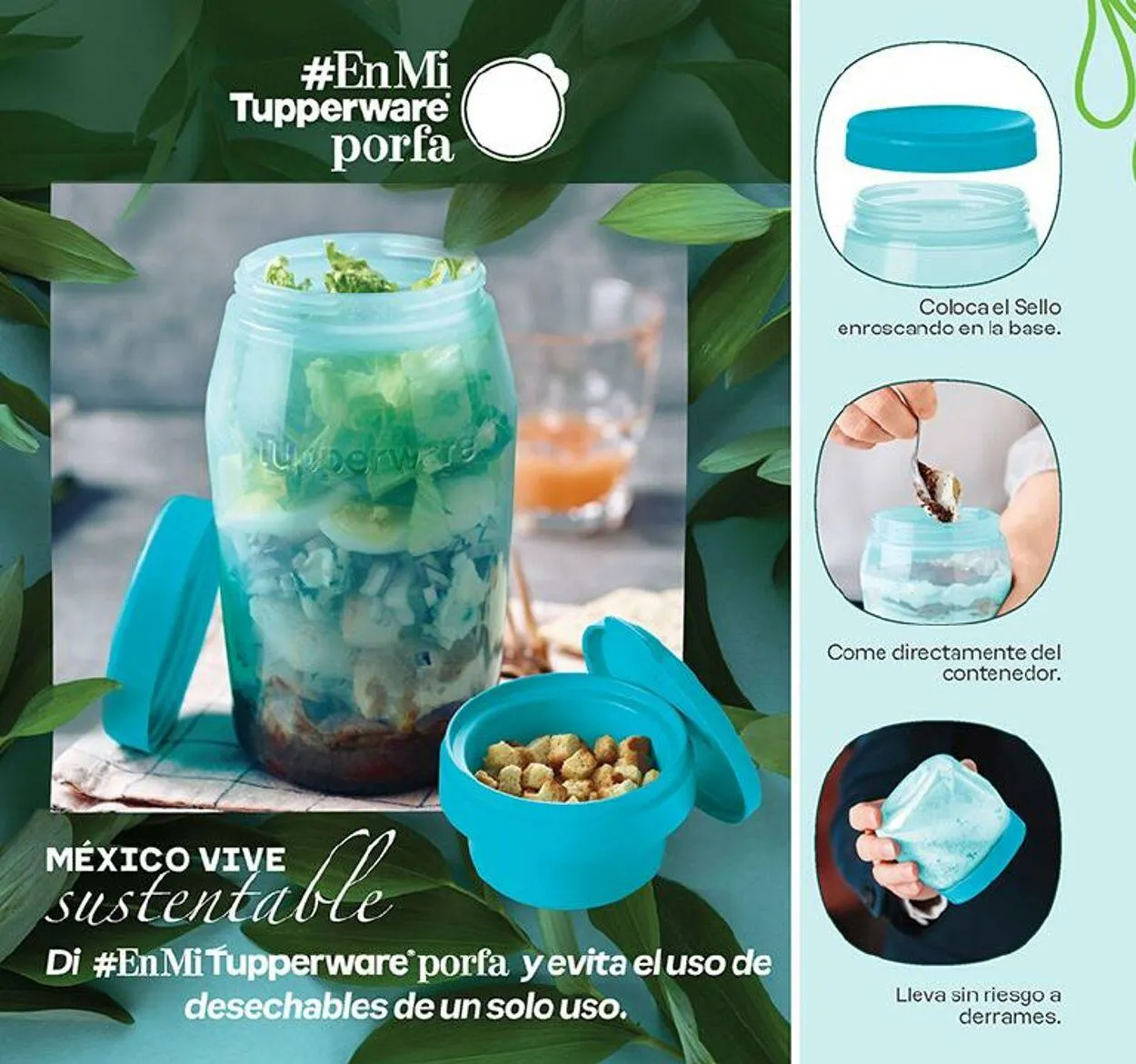 Catálogo de Tupperware 4 de septiembre al 16 de septiembre 2024 - Pagina 28