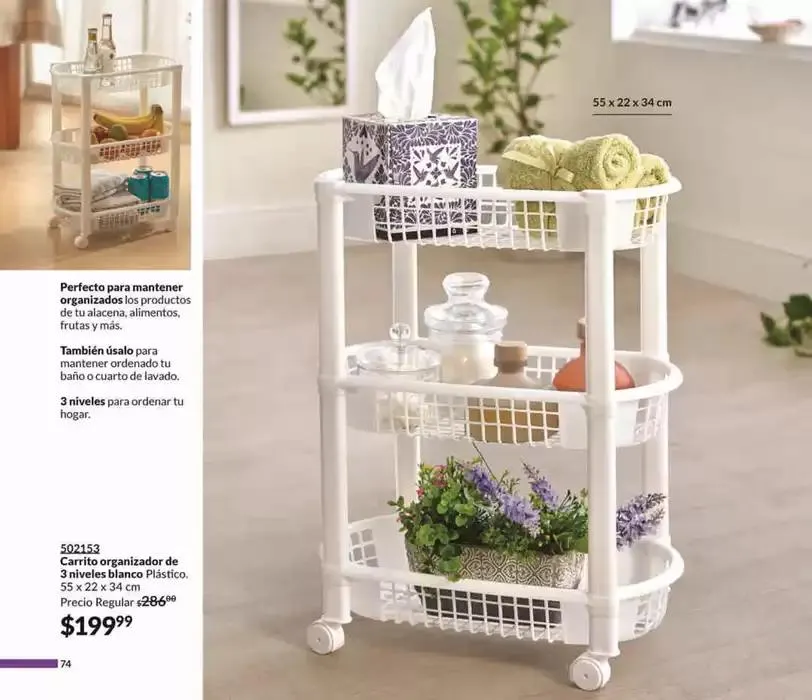 Catálogo de Avon Casa & Estilo C4 17 de enero al 31 de enero 2025 - Pagina 74