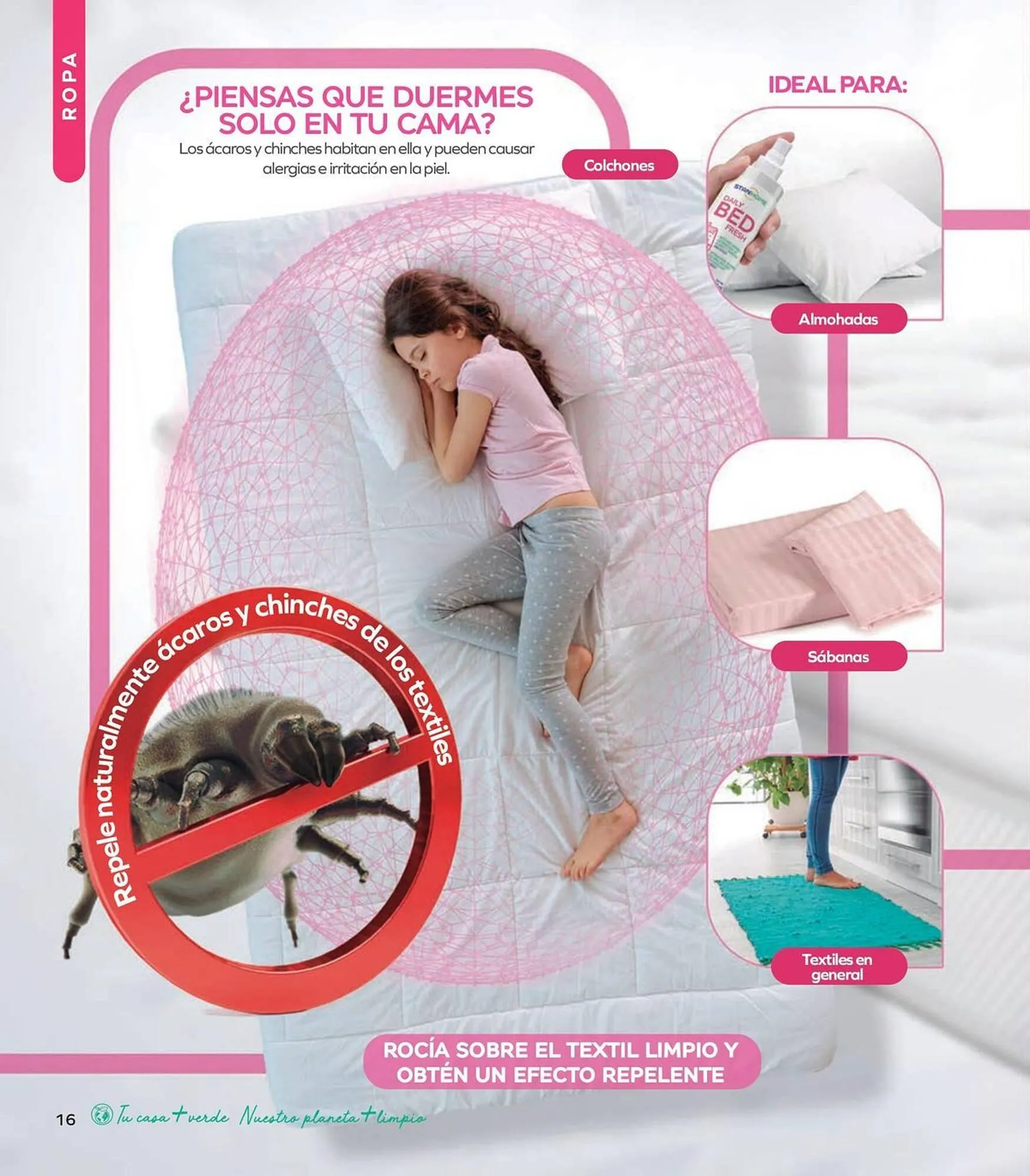 Catálogo de Catálogo Stanhome 9 de febrero al 27 de febrero 2026 - Pagina 20