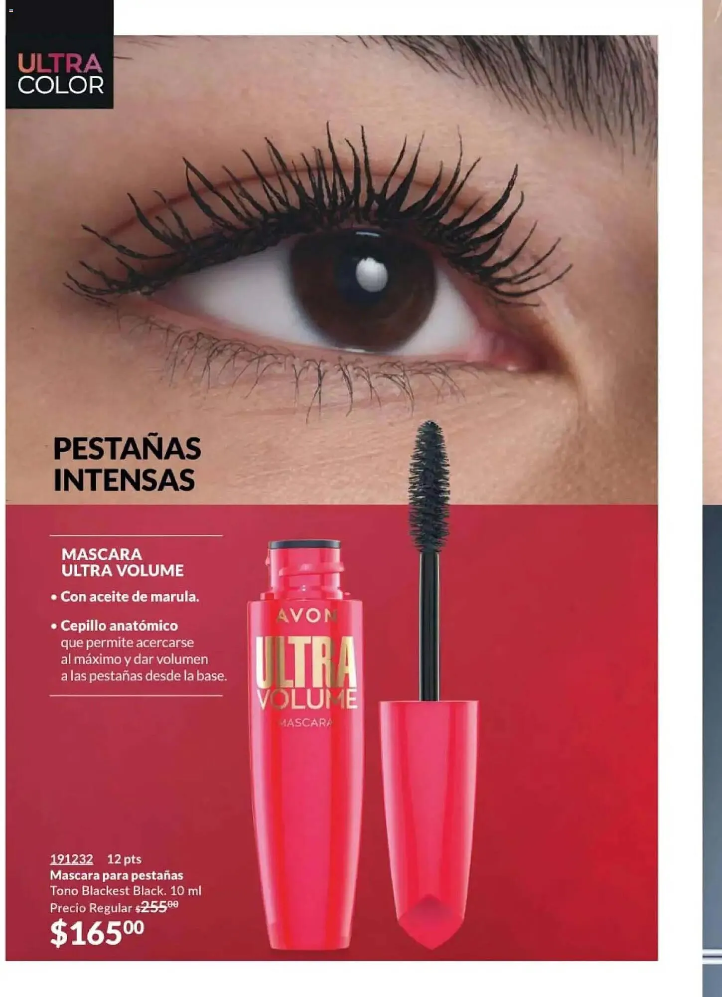 Catálogo de Catálogo Avon 20 de febrero al 27 de marzo 2026 - Pagina 18