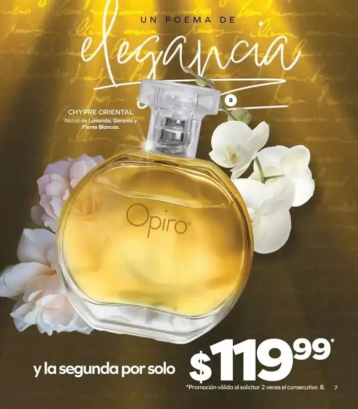Catálogo de Stanhome - C17 6 de noviembre al 22 de noviembre 2024 - Pagina 11