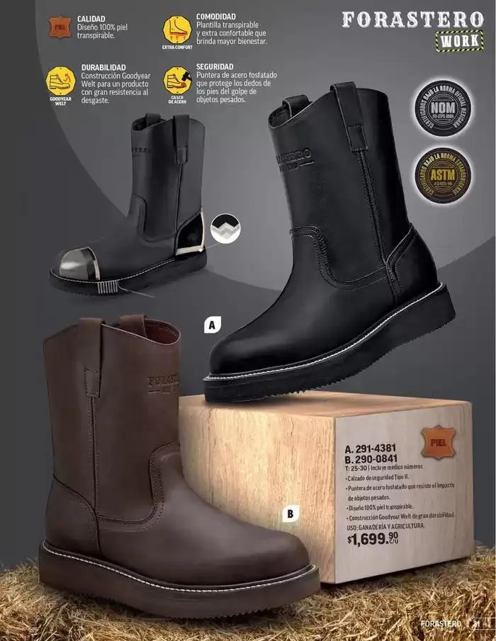 Catálogo de ANDREA | PROFESIONAL E INDUSTRIAL 26 de enero al 24 de mayo 2025 - Pagina 21