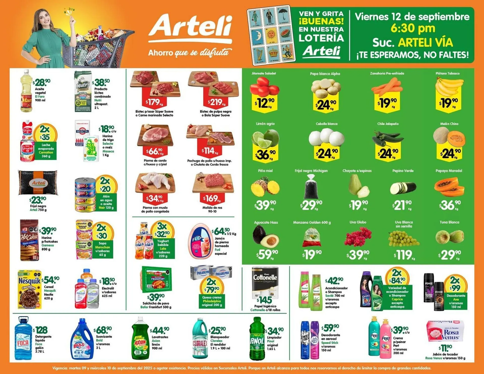 Folleto Arteli - 1