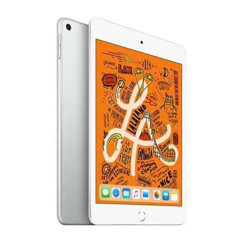 iPad Mini 7.9" 5a Generacion 64 Gb Wifi