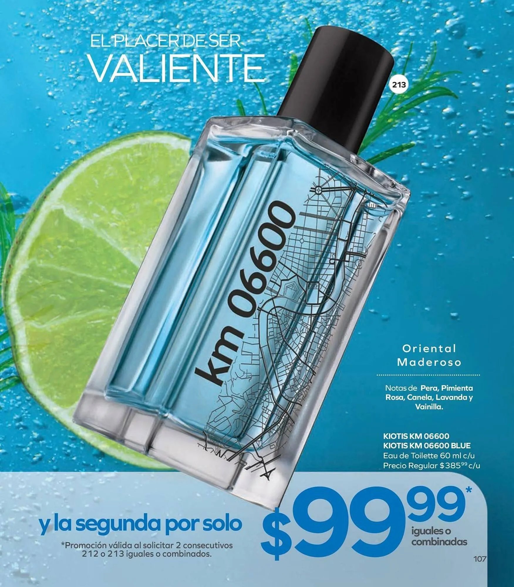 Catálogo de Catálogo Stanhome 17 de diciembre al 3 de enero 2026 - Pagina 109