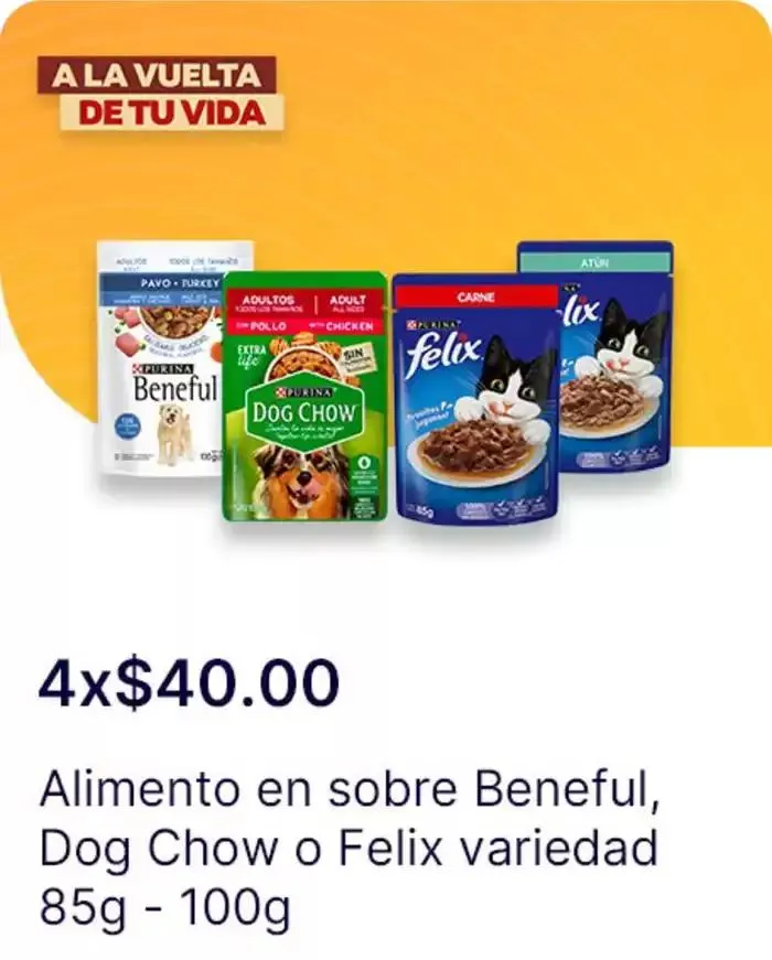 Catálogo de A la vuelta de tu vida 2 de diciembre al 1 de enero 2025 - Pagina 5