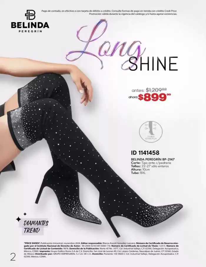 Catálogo de 10 PAGOS SIN INTERESES 11 de noviembre al 31 de enero 2025 - Pagina 2