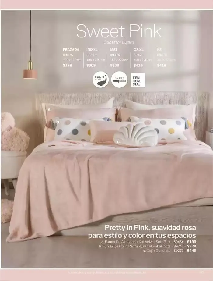 Catálogo de Catálogo - Chavos 29 de enero al 28 de febrero 2025 - Pagina 101