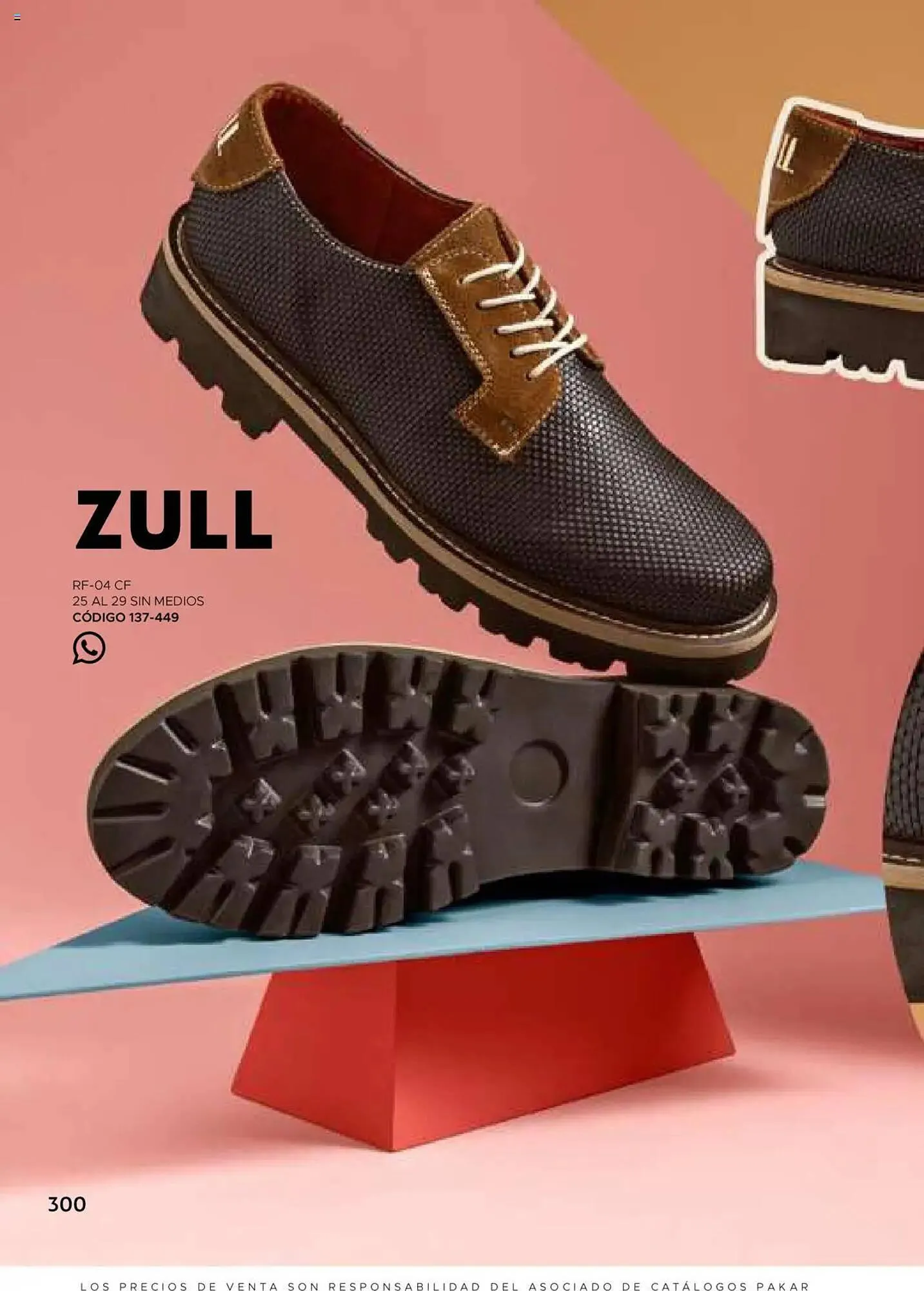 Catálogo de Catálogo SC Pakar 24 de julio al 1 de enero 2026 - Pagina 300