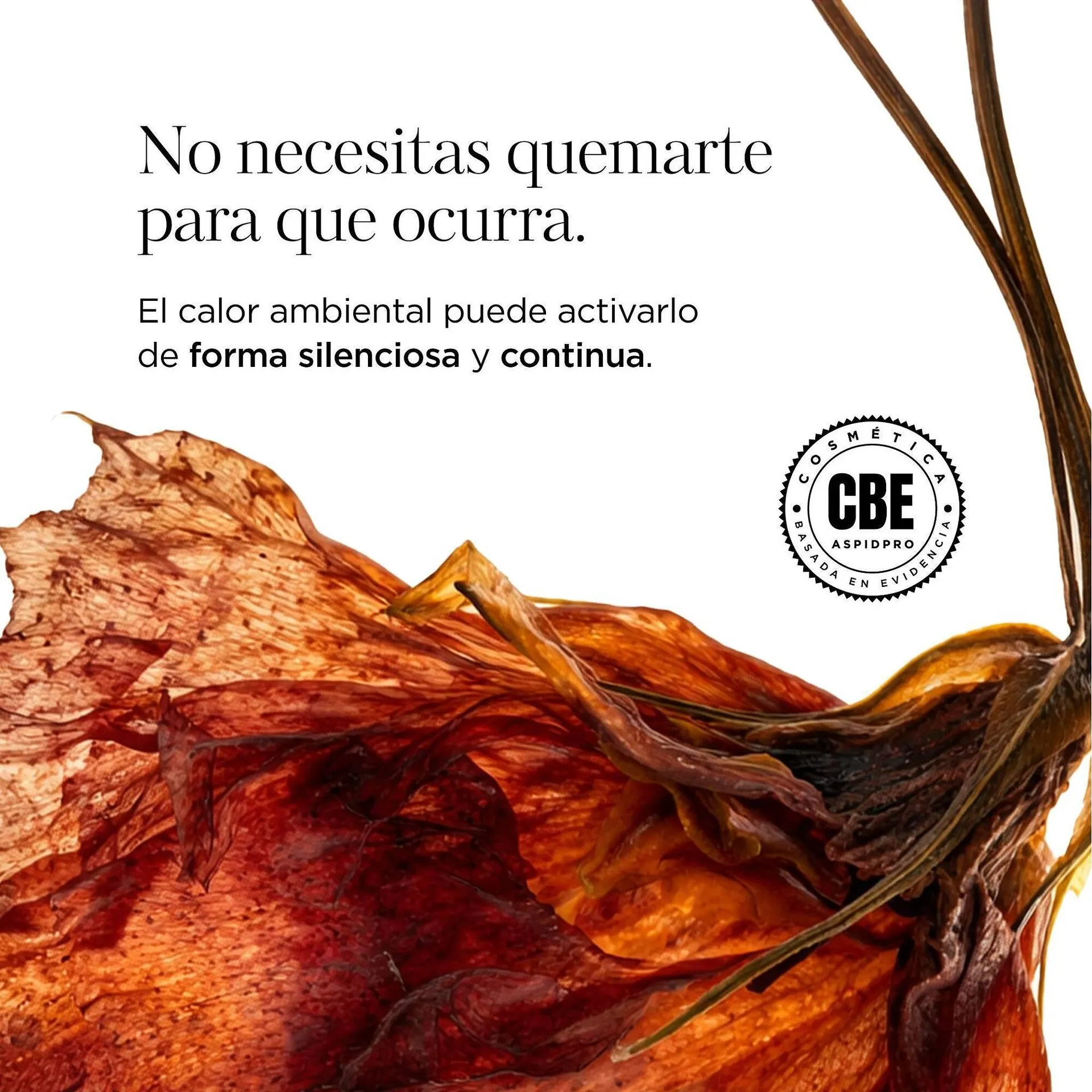 Catálogo de Catálogo AspidPro 1 de abril al 15 de abril 2026 - Pagina 4