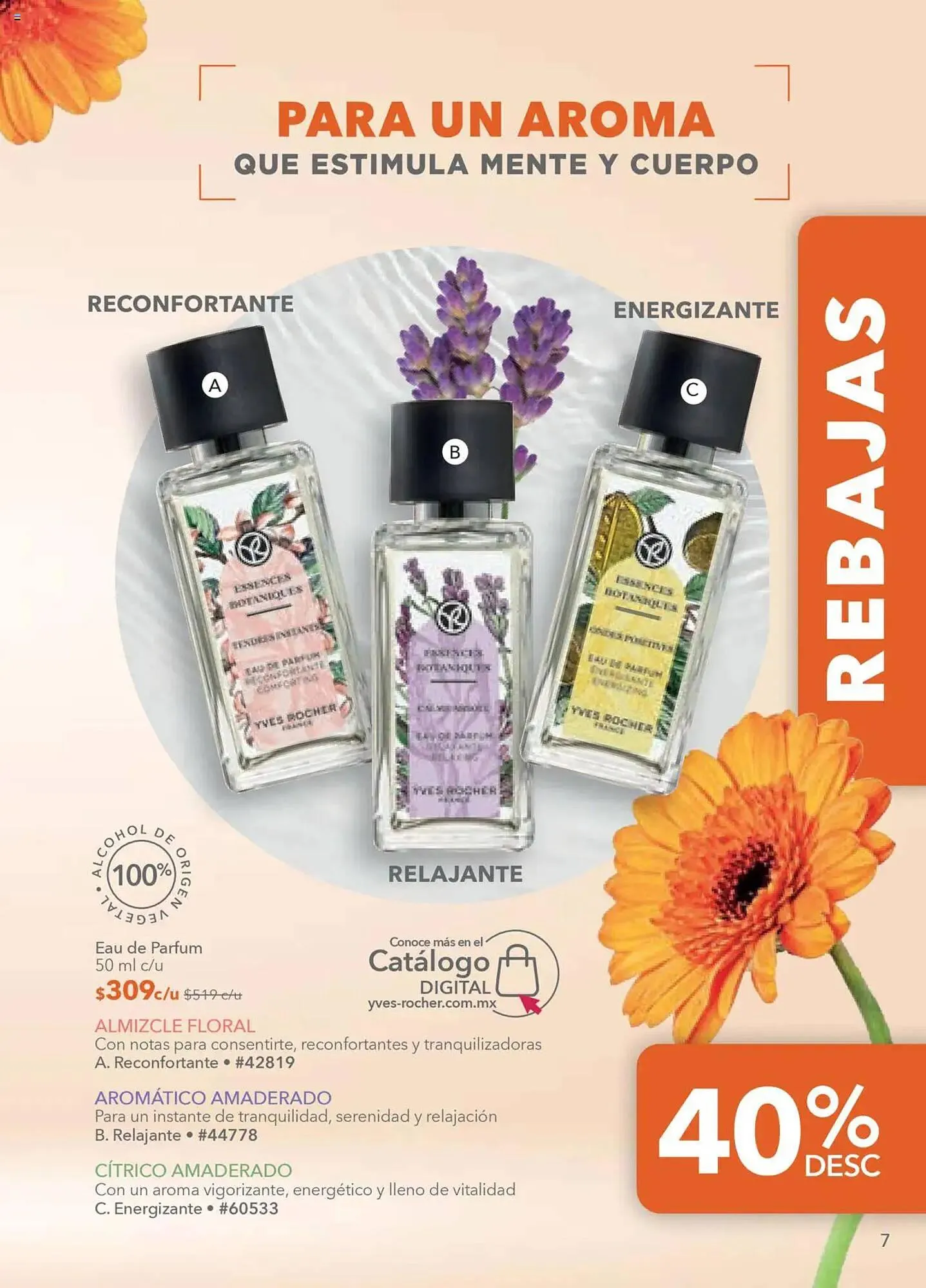 Catálogo de Catálogo Yves Rocher 15 de julio al 5 de agosto 2025 - Pagina 7