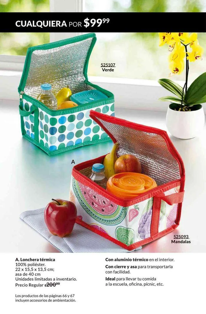 Catálogo de Avon Fashion And Home C08 6 de abril al 13 de mayo 2024 - Pagina 66