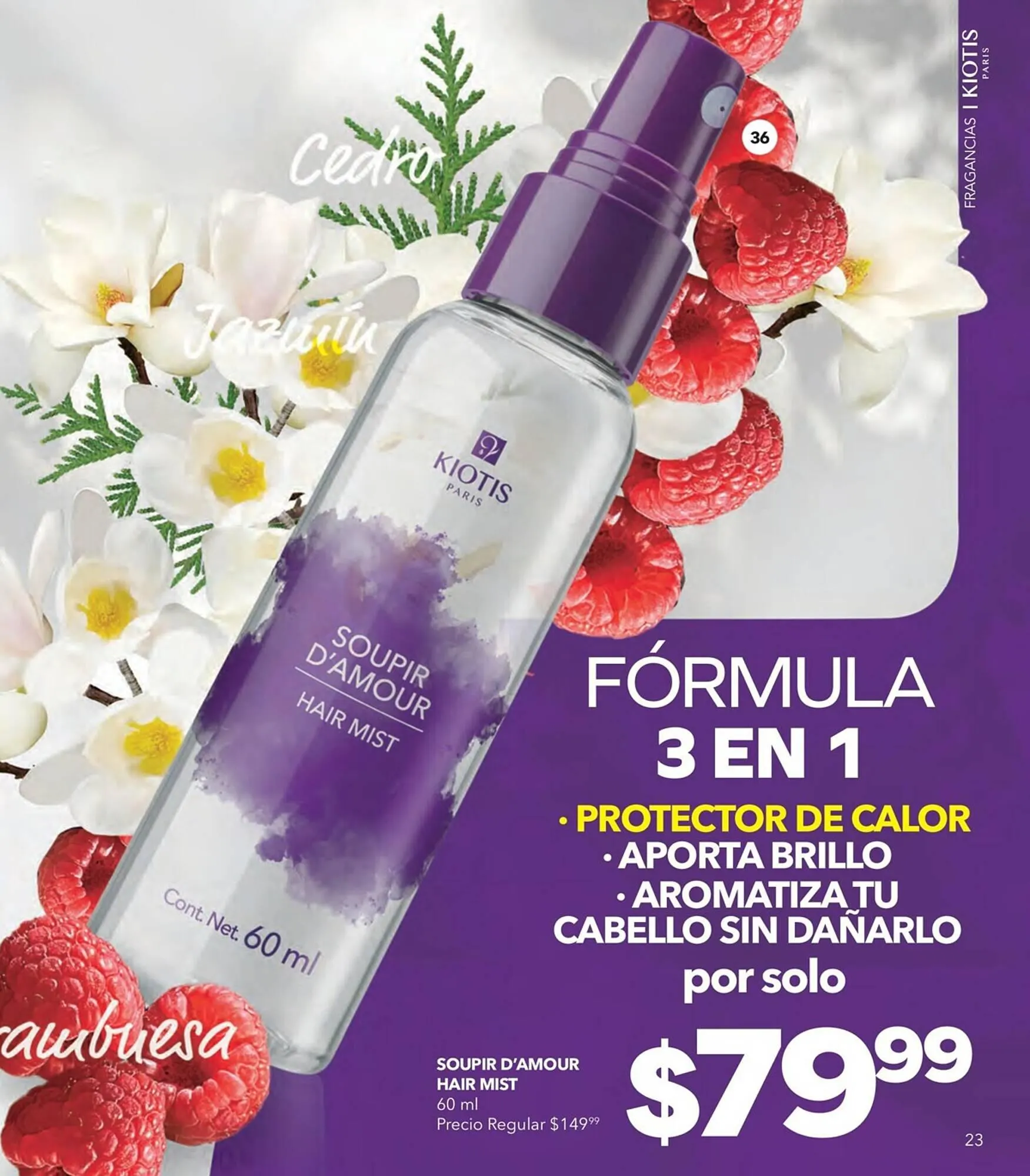 Catálogo de Catálogo Stanhome 27 de julio al 12 de agosto 2023 - Pagina 27