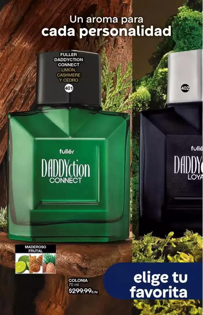 Catálogo de Fuller CAMPAÑA 18 12 de diciembre al 31 de diciembre 2024 - Pagina 66