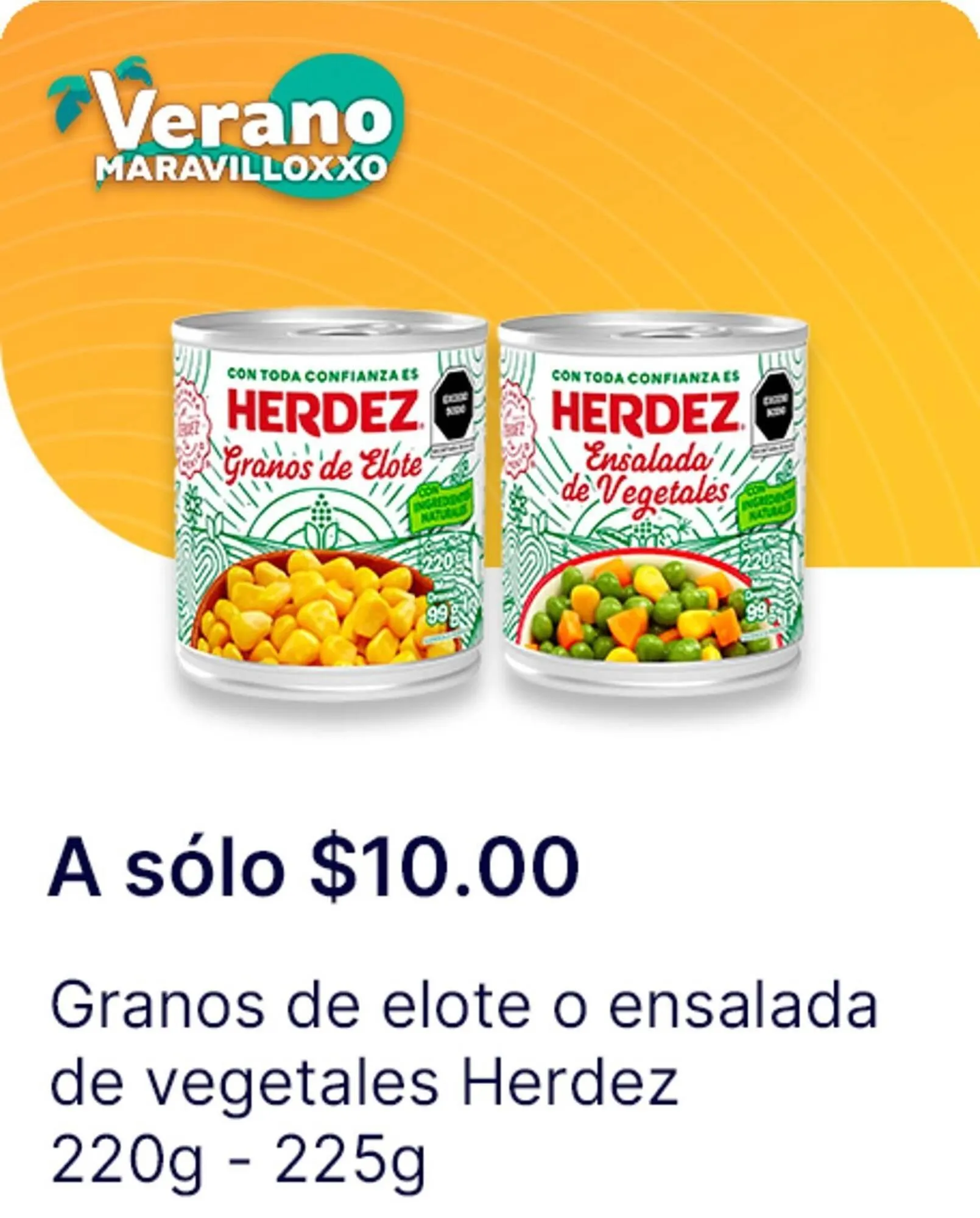 Catálogo de Catálogo OXXO 19 de mayo al 11 de junio 2025 - Pagina 8