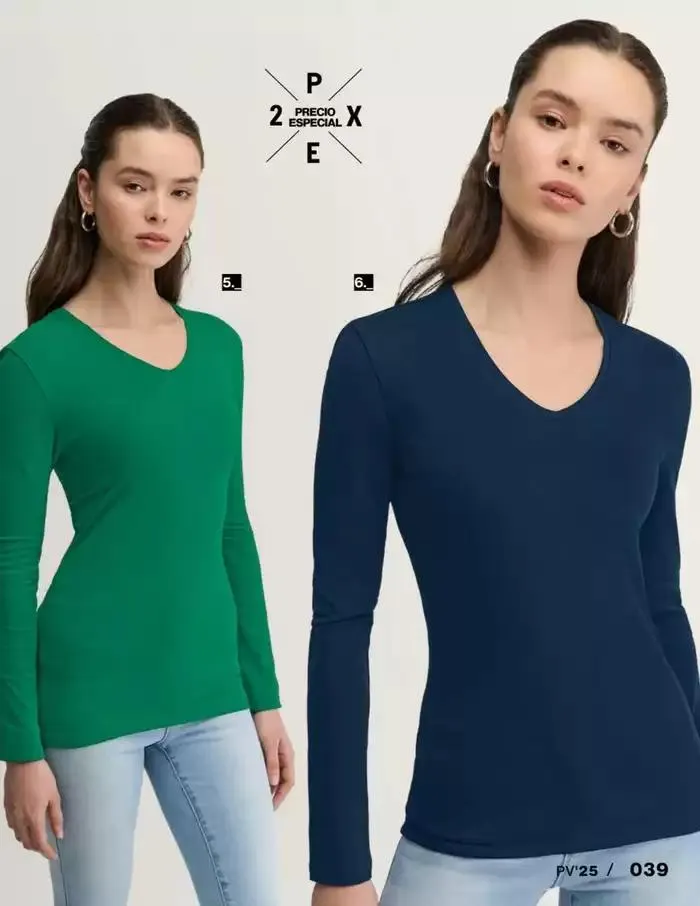 Catálogo de BASICOS | PRI-VER | 2025 | 1E 27 de enero al 30 de septiembre 2025 - Pagina 41