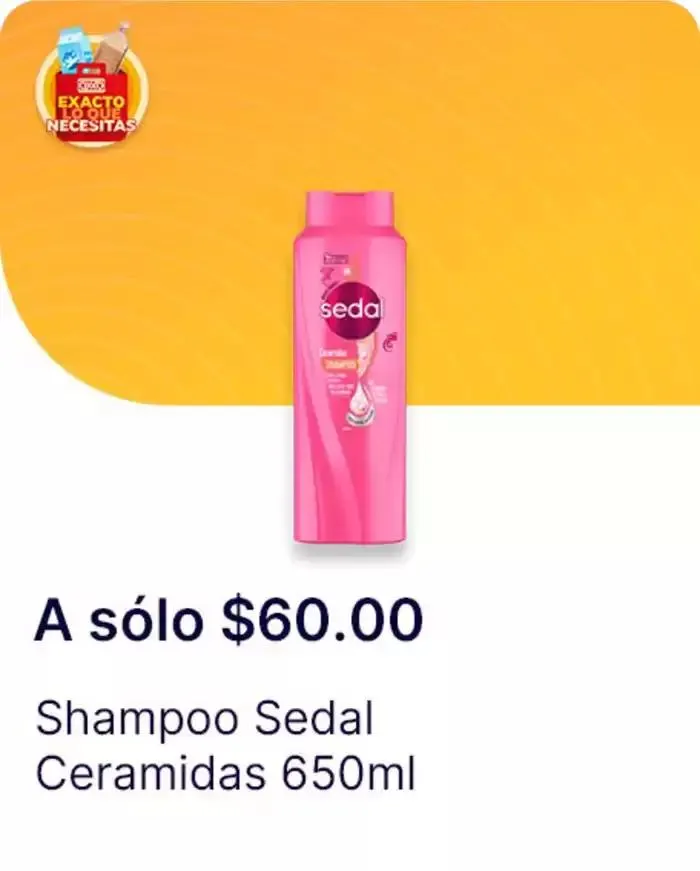 Catálogo de Exacto lo que necesitas 7 de enero al 22 de enero 2025 - Pagina 117