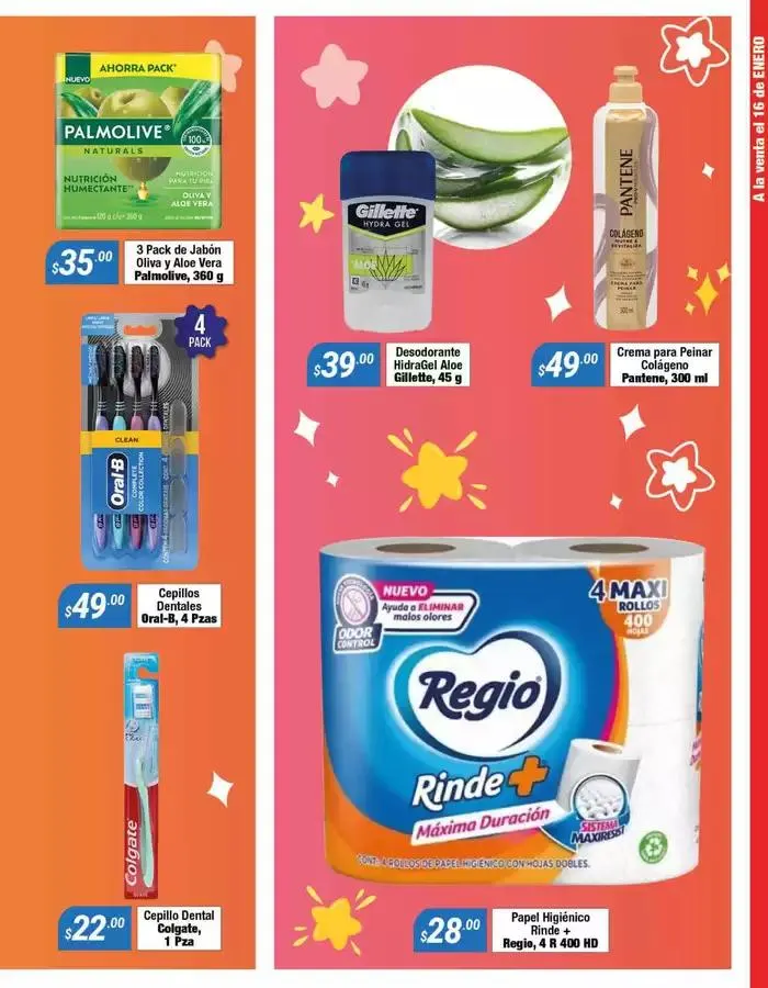 Catálogo de Volante Temporal Enero 7 de enero al 31 de enero 2025 - Pagina 3