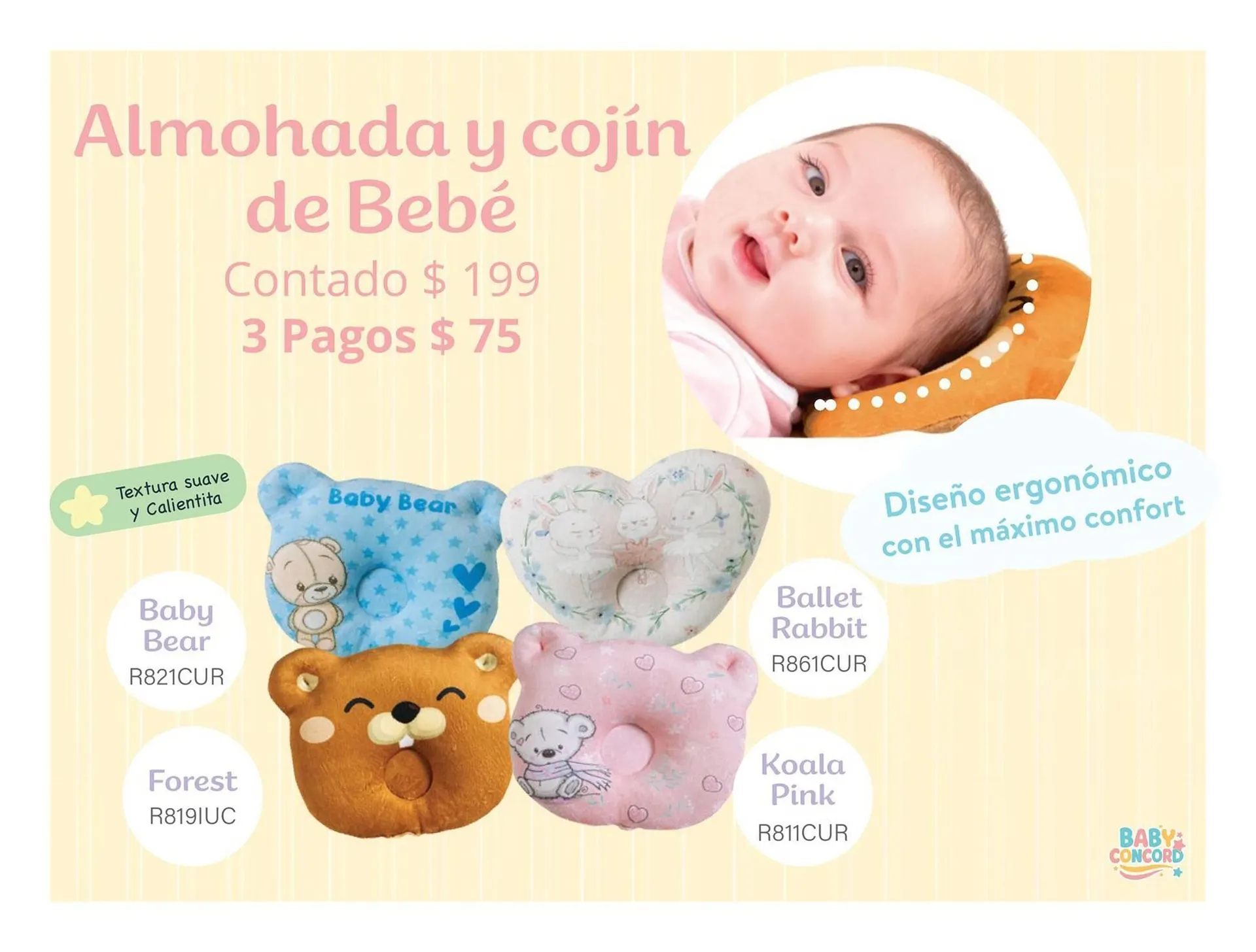 Catálogo de Catálogo Colchas Concord 1 de mayo al 31 de julio 2026 - Pagina 23