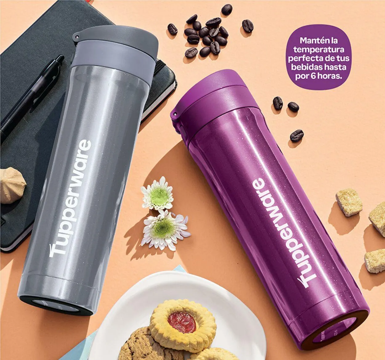 Catálogo de Tupperware 4 de septiembre al 16 de septiembre 2024 - Pagina 108