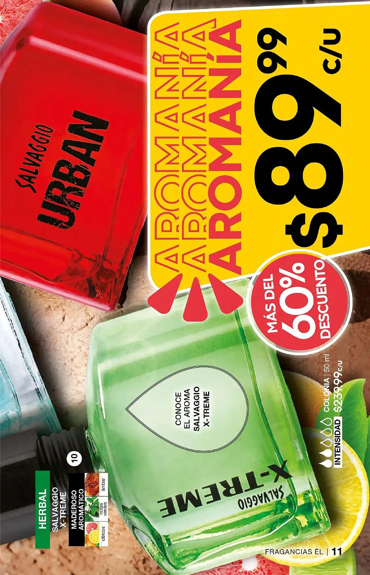 Catálogo de Catálogo Fuller 7 de enero al 28 de enero 2026 - Pagina 11