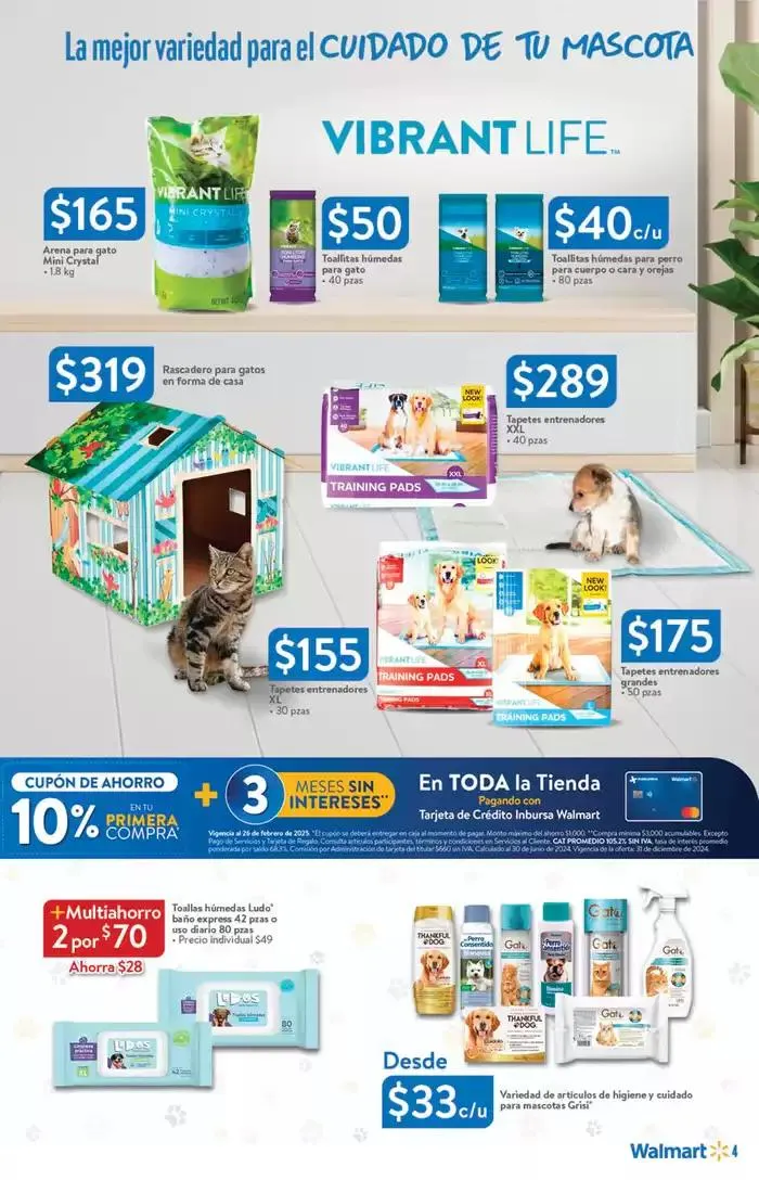 Catálogo de Mascotas 30 de enero al 26 de febrero 2025 - Pagina 4