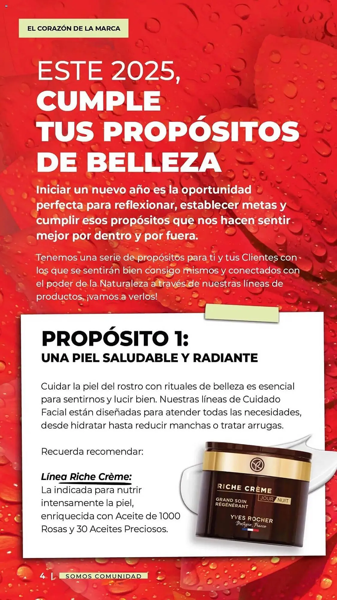 Catálogo de Catálogo Yves Rocher 31 de diciembre al 10 de febrero 2025 - Pagina 4