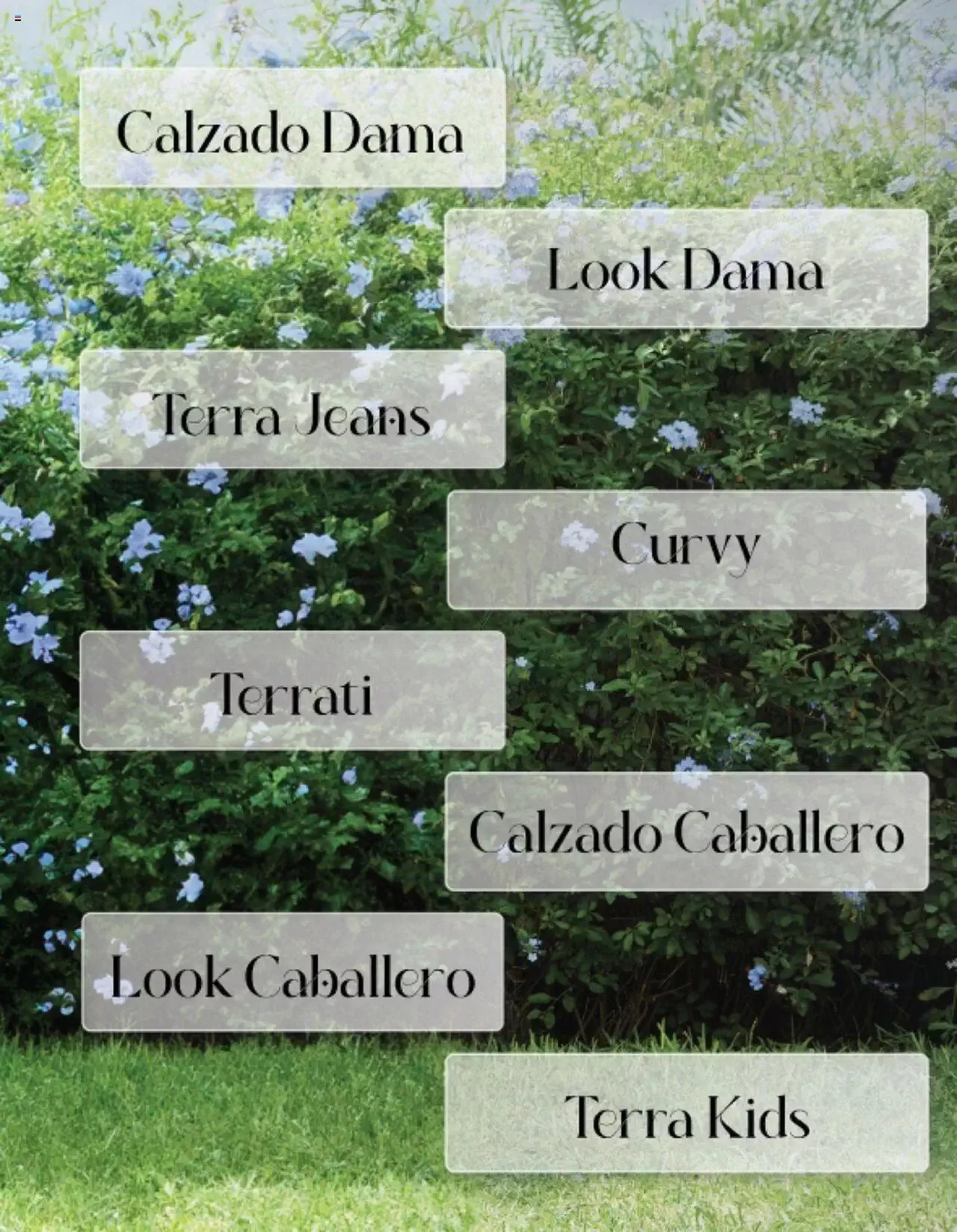 Catálogo de Mundo Terra catálogo 1 de enero al 31 de diciembre 2024 - Pagina 3