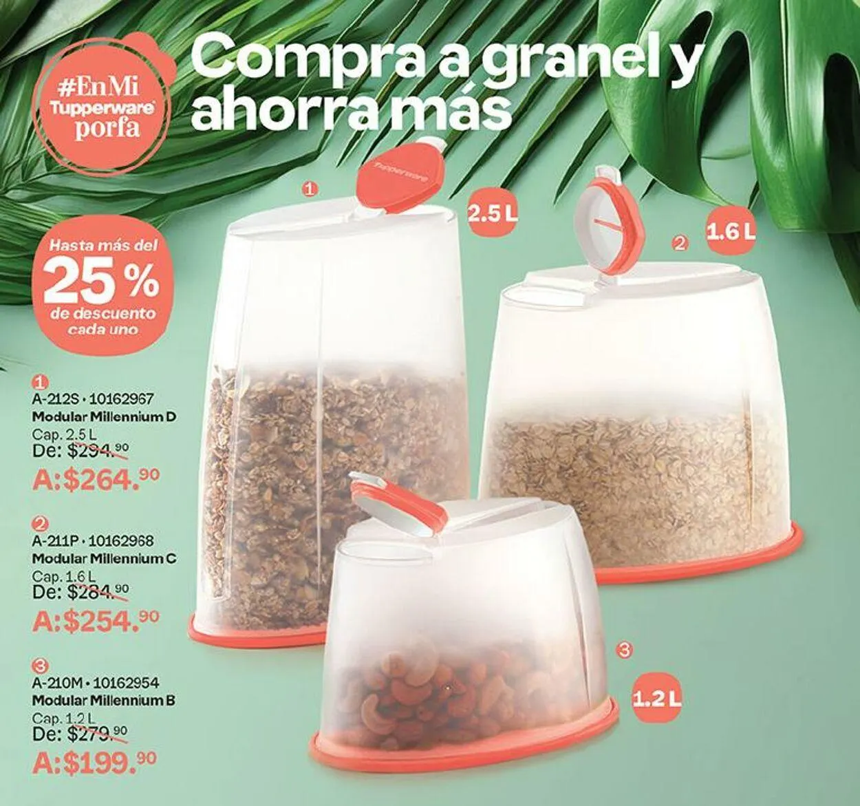 Catálogo de Tupperware 4 de septiembre al 16 de septiembre 2024 - Pagina 64