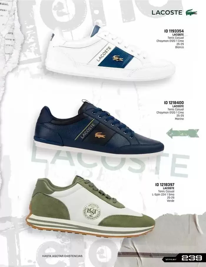 Catálogo de IMPORTADOS WINTER 11 de noviembre al 31 de enero 2025 - Pagina 239