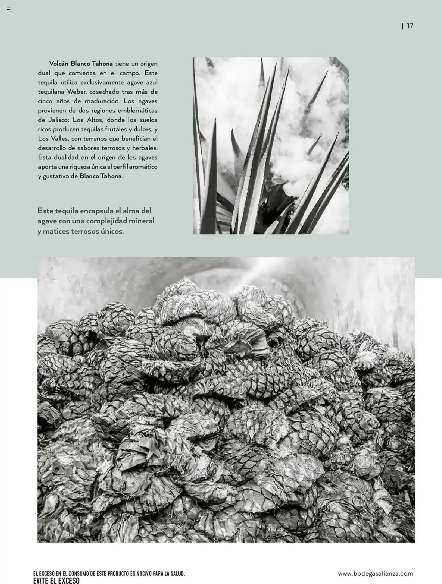 Catálogo de Catálogo Bodegas Alianza 14 de enero al 30 de marzo 2025 - Pagina 19