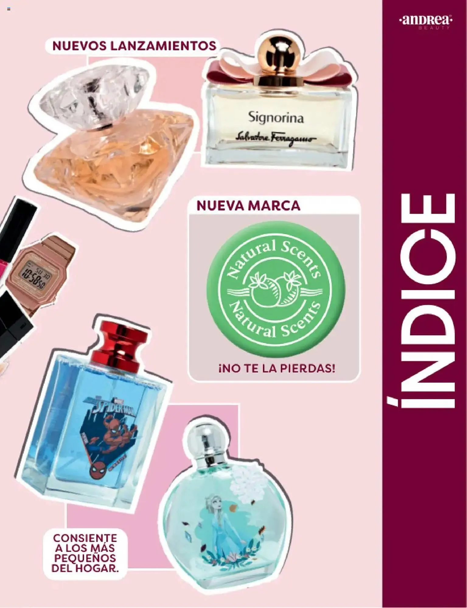 Catálogo de Catálogo Andrea 3 de octubre al 19 de octubre 2025 - Pagina 3