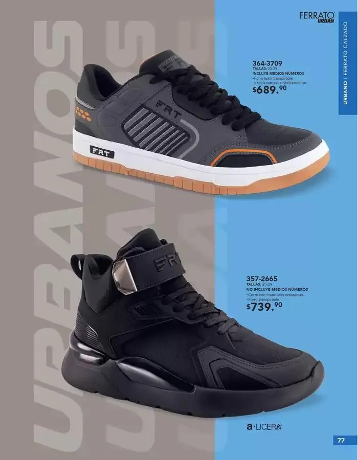 Catálogo de Gangas y ofertas actuales 1 de marzo al 31 de marzo 2025 - Pagina 77