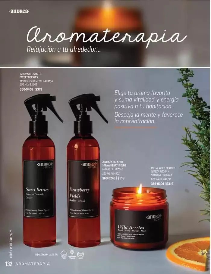 Catálogo de ANDREA - ANDREA HOME 26 de agosto al 25 de enero 2025 - Pagina 36