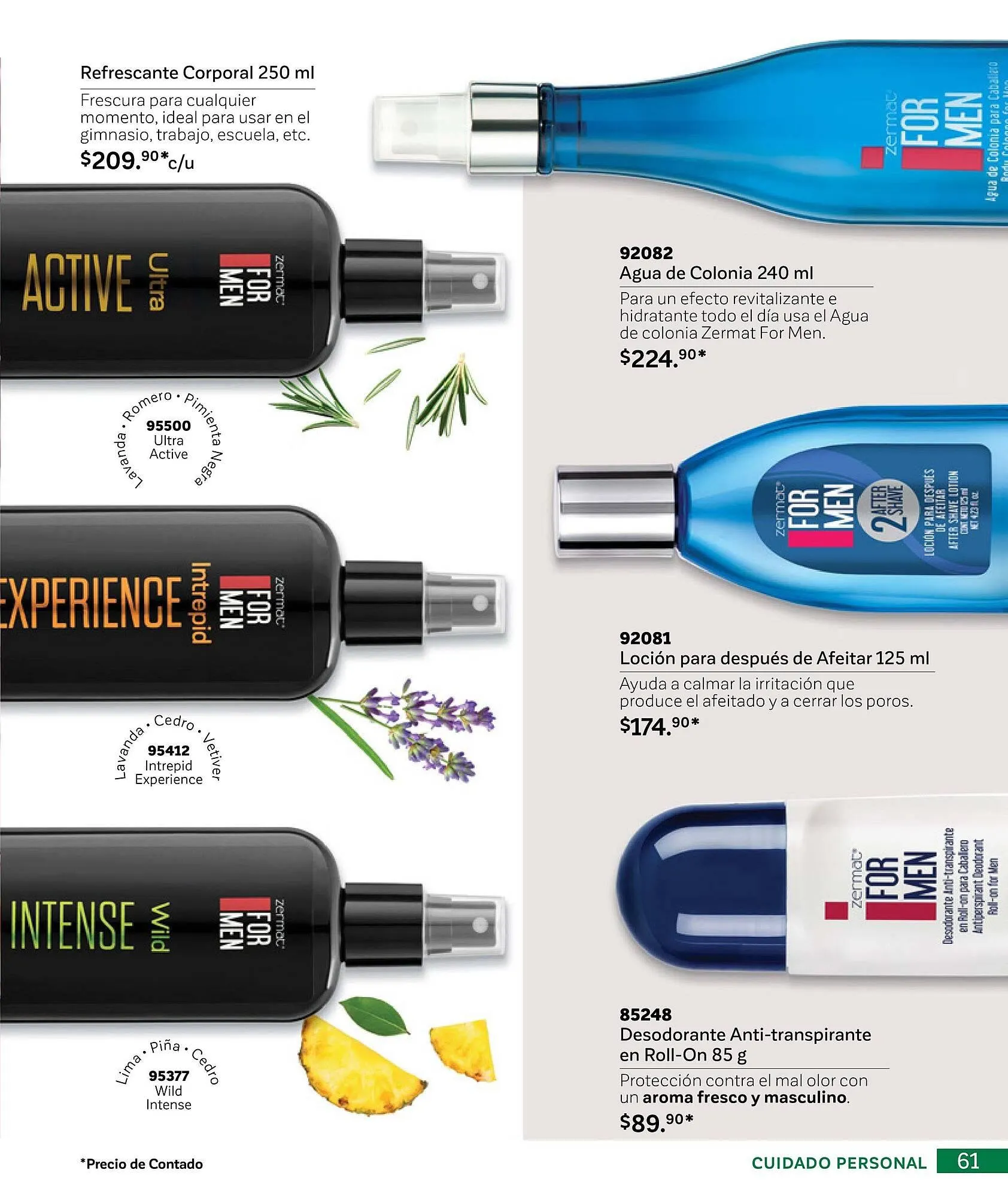 Catálogo de Catálogo Zermat 29 de enero al 28 de febrero 2025 - Pagina 61